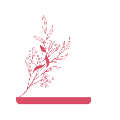 نرم افزار تست و بررسی